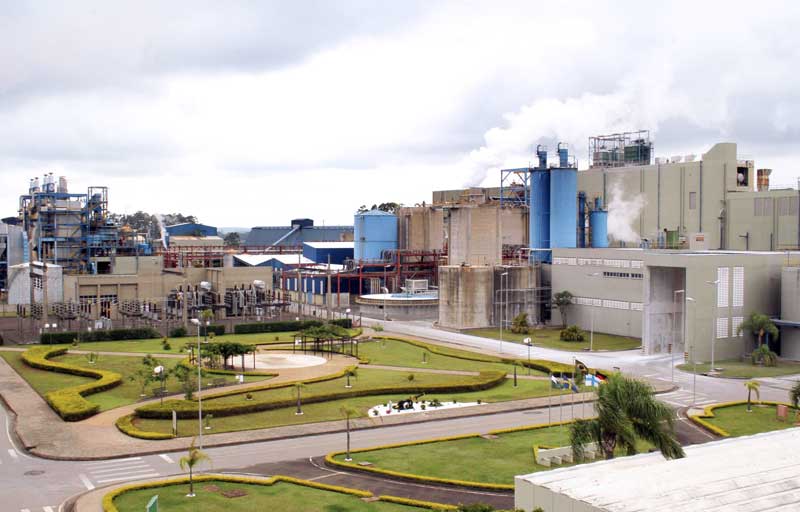 Stora enso arapoti mill巴西